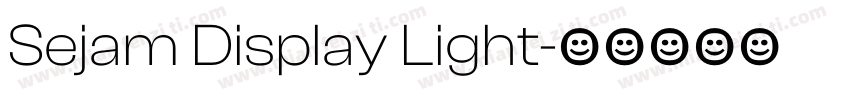 Sejam Display Light字体转换